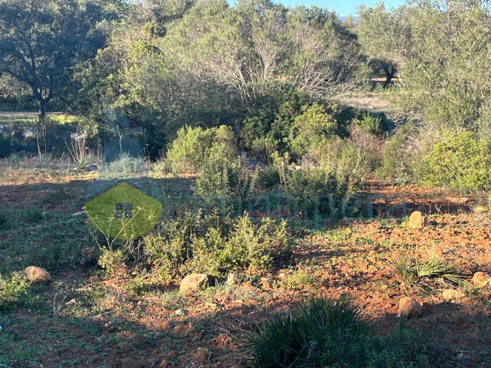 Terreno Agricola ou Rústico para Venda em Boliqueime Foto 17