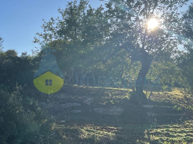 Terreno Agricola ou Rústico para Venda em Boliqueime Foto 13
