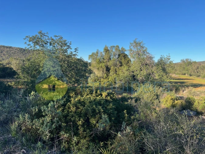 Terreno Agricola ou Rústico para Venda em Boliqueime Foto 14