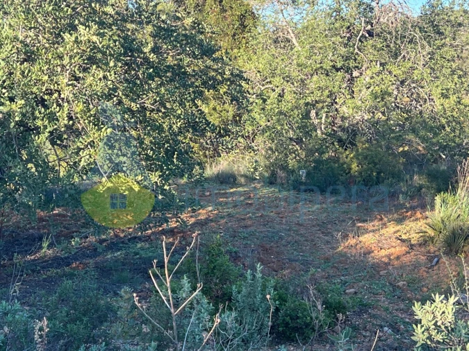 Terreno Agricola ou Rústico para Venda em Boliqueime Foto 15