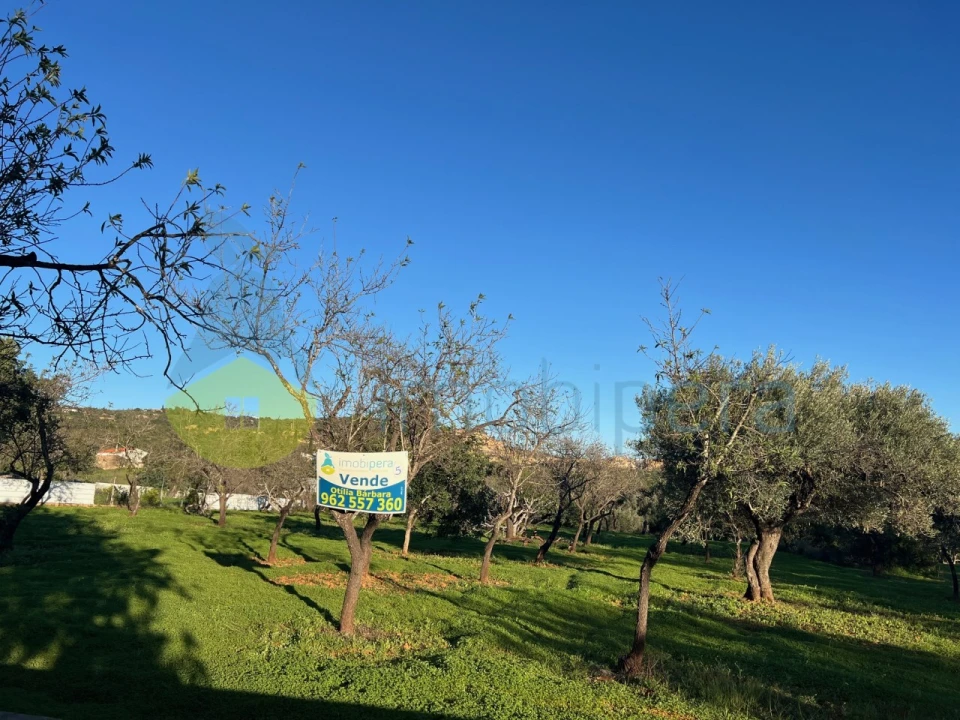 Terreno Agricola ou Rústico para Venda em Boliqueime Foto 3