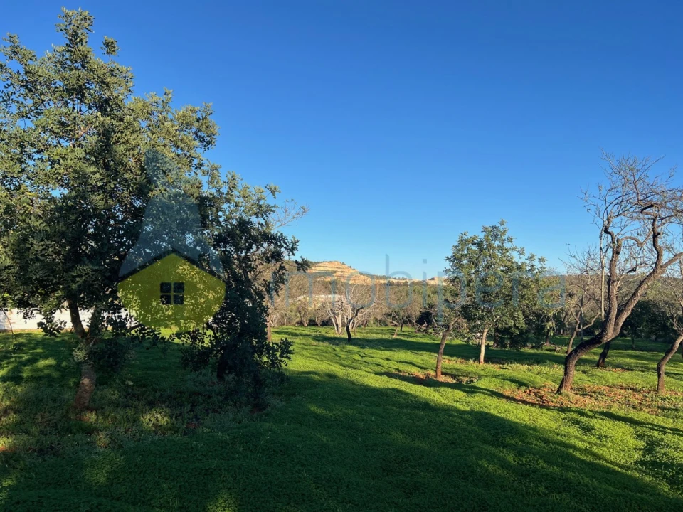 Terreno Agricola ou Rústico para Venda em Boliqueime Foto 2