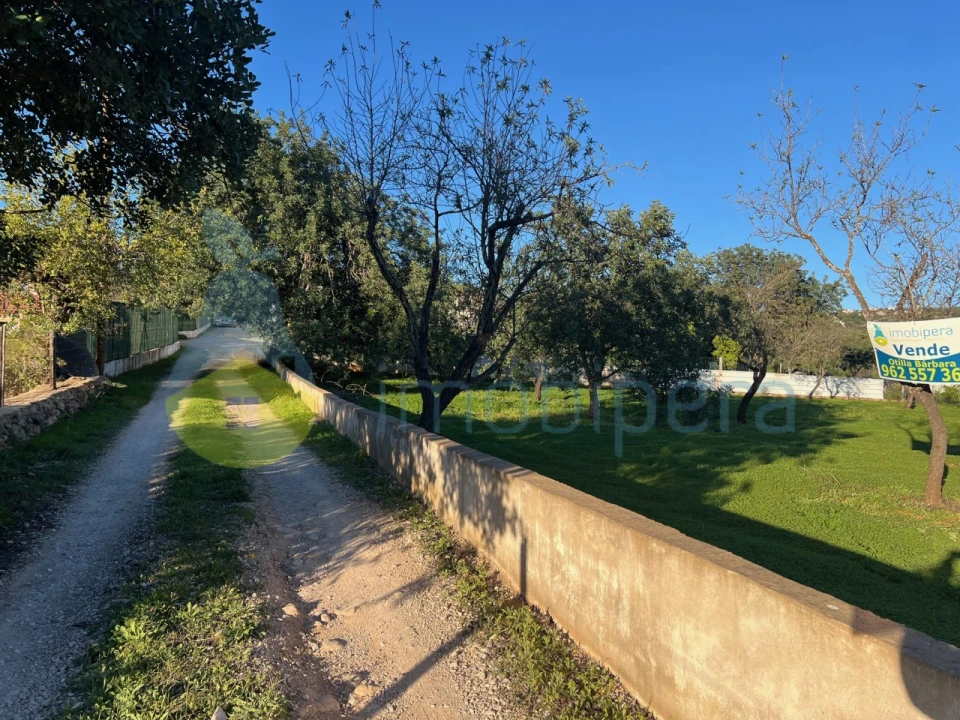 Terreno Agricola ou Rústico para Venda em Boliqueime Foto 7