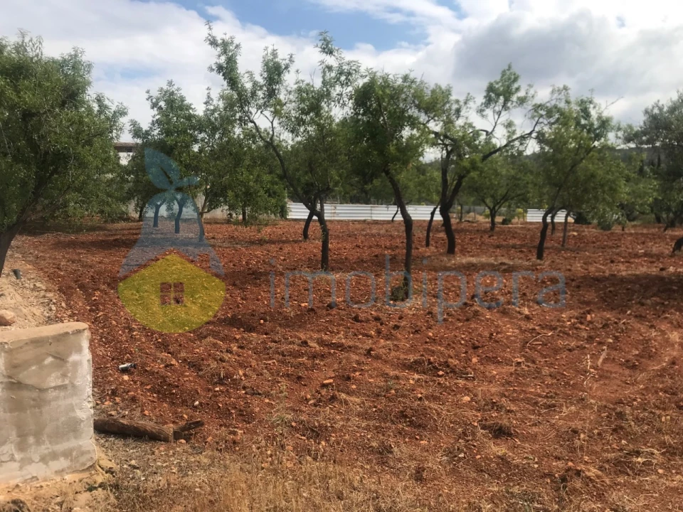 Terreno Agricola ou Rústico para Venda em Boliqueime Foto 9