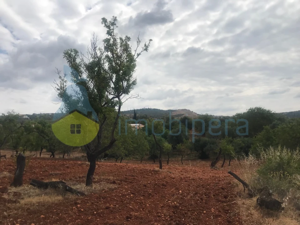 Terreno Agricola ou Rústico para Venda em Boliqueime Foto 13