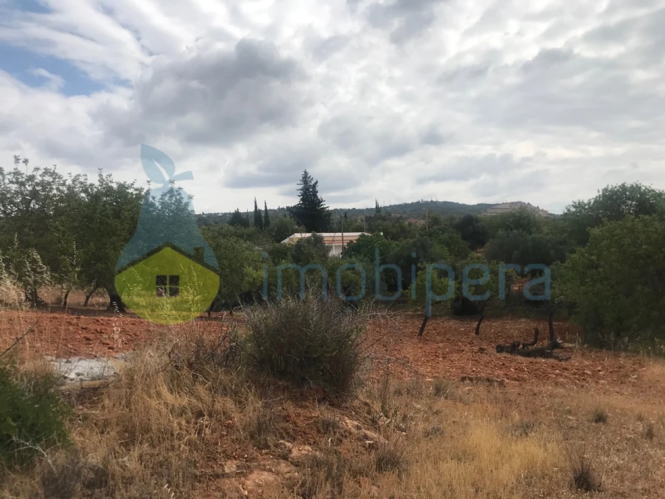 Terreno Agricola ou Rústico para Venda em Boliqueime Foto 14