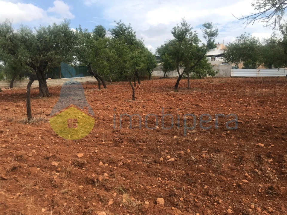 Terreno Agricola ou Rústico para Venda em Boliqueime Foto 17