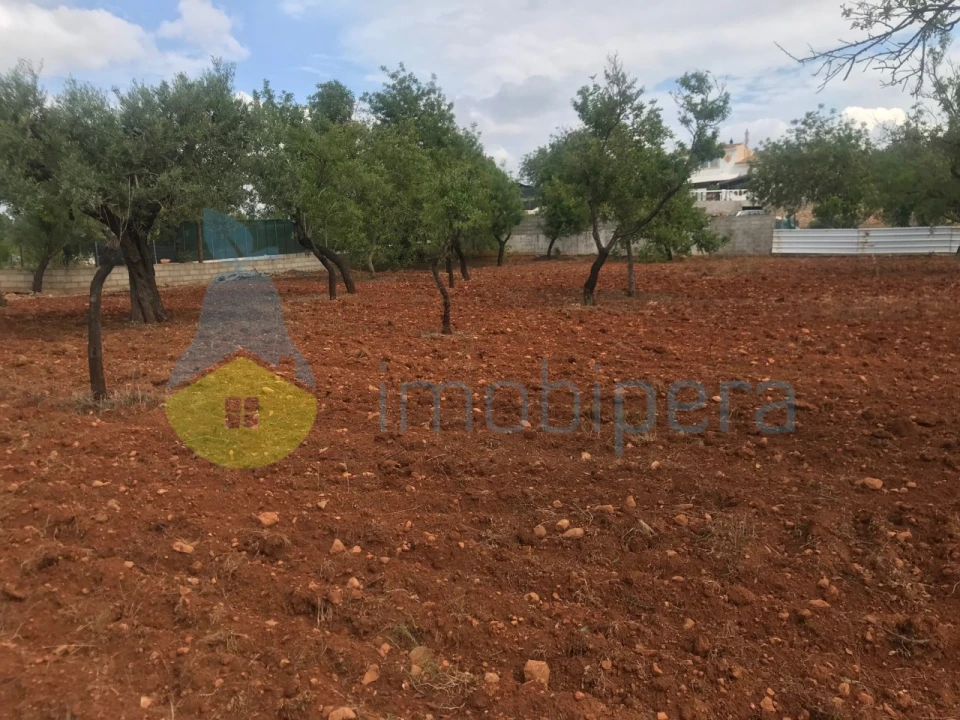 Terreno Agricola ou Rústico para Venda em Boliqueime Foto 18
