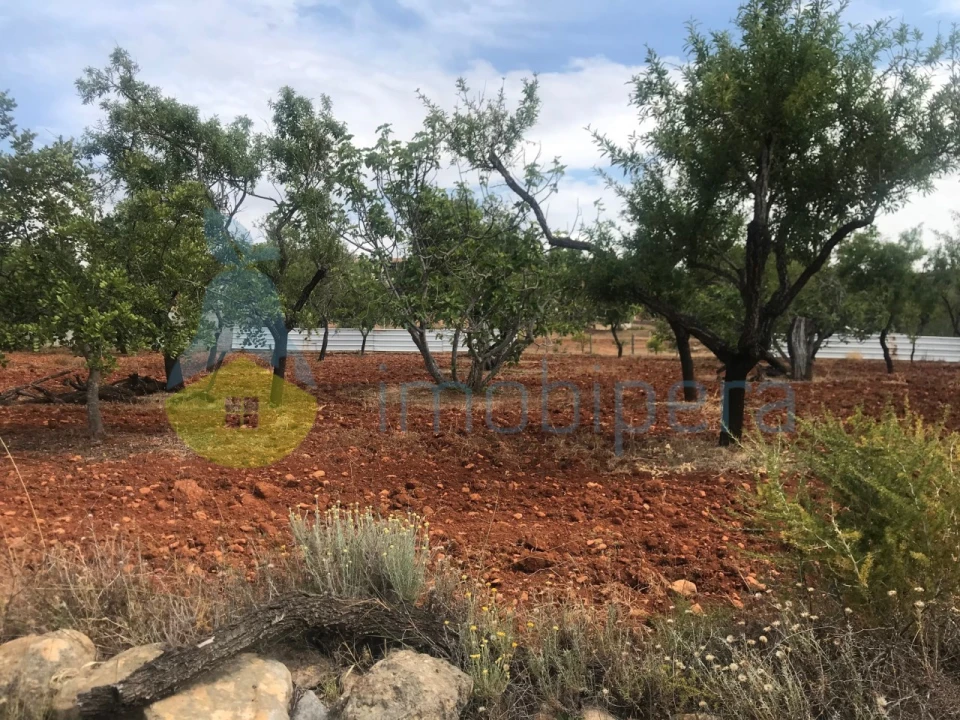 Terreno Agricola ou Rústico para Venda em Boliqueime Foto 19