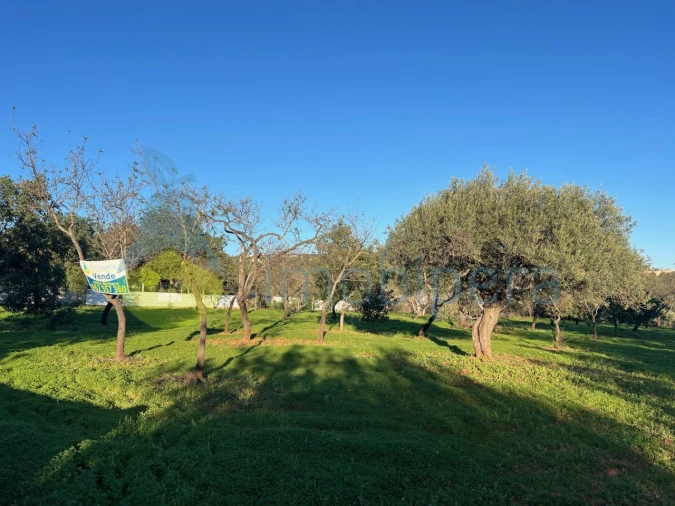 Terreno Agricola ou Rústico para Venda em Boliqueime Foto 4
