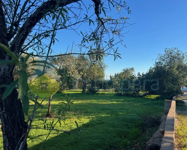 Terreno Agricola ou Rústico para Venda em Boliqueime