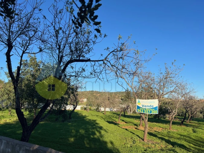 Terreno Agricola ou Rústico para Venda em Boliqueime Foto 5