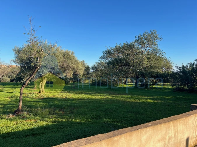 Terreno Agricola ou Rústico para Venda em Boliqueime Foto 6