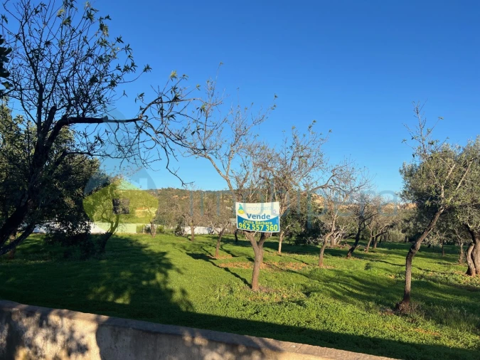 Terreno Agricola ou Rústico para Venda em Boliqueime Foto 8