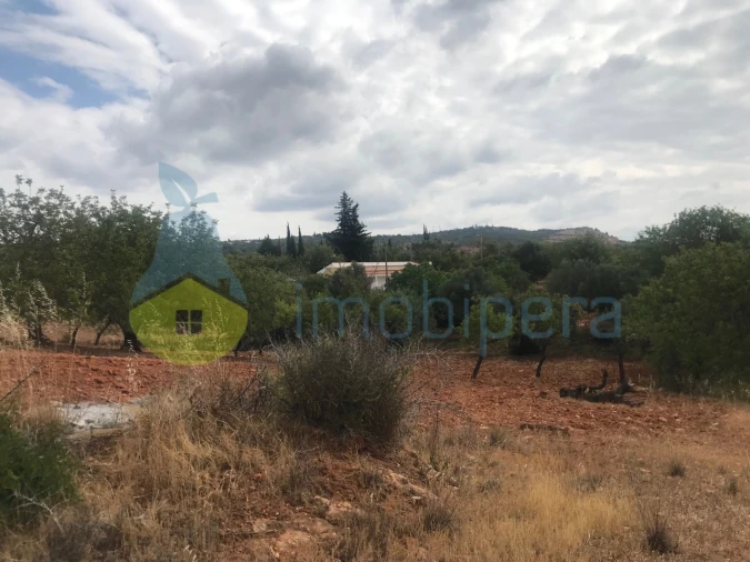 Terreno Agricola ou Rústico para Venda em Boliqueime Foto 14