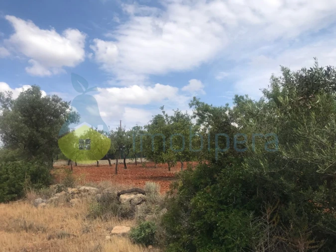 Terreno Agricola ou Rústico para Venda em Boliqueime Foto 15