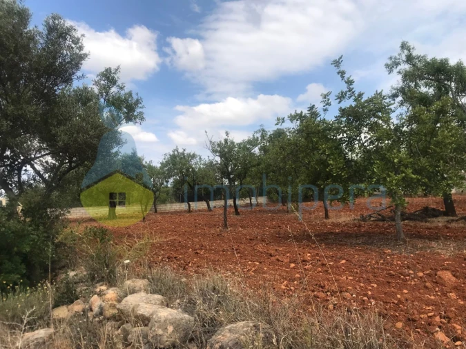 Terreno Agricola ou Rústico para Venda em Boliqueime Foto 16