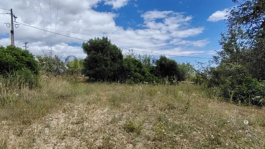 Terreno Agricola ou Rústico para Venda em Loule (São Clemente)