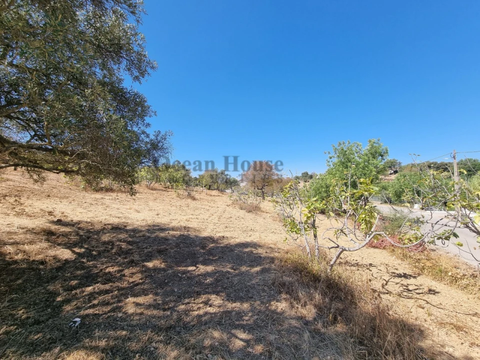 Terreno Agricola ou Rústico para Venda em Santa Barbara de Nexe Foto 5