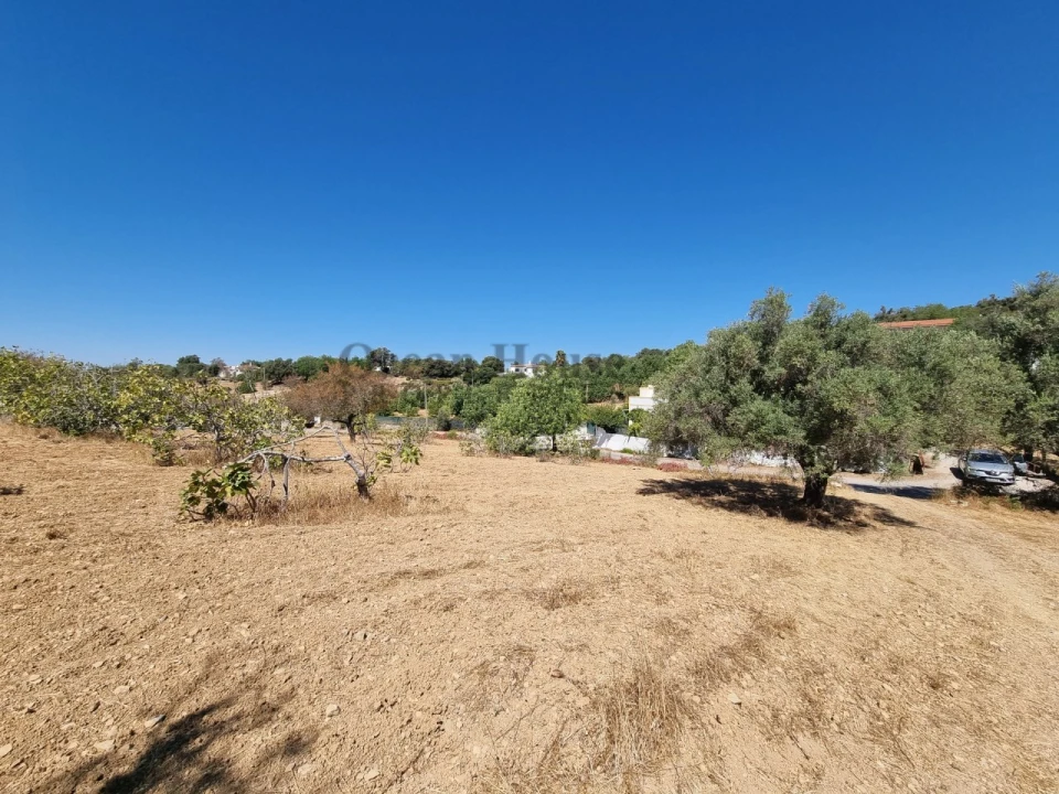 Terreno Agricola ou Rústico para Venda em Santa Barbara de Nexe Foto 1