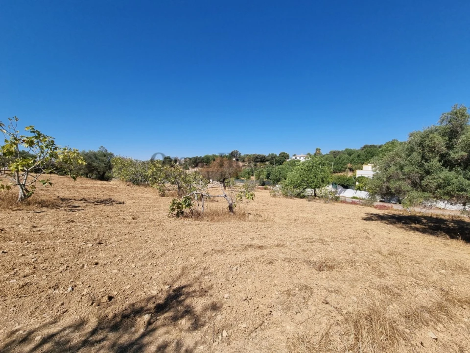 Terreno Agricola ou Rústico para Venda em Santa Barbara de Nexe Foto 3
