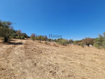 Terreno Agricola ou Rústico para Venda em Santa Barbara de Nexe