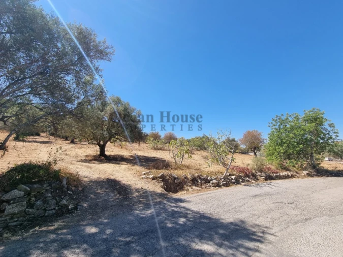 Terreno Agricola ou Rústico para Venda em Santa Barbara de Nexe Foto 4