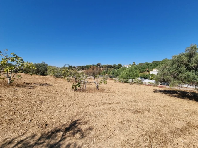Terreno Agricola ou Rústico para Venda em Santa Barbara de Nexe Foto 3