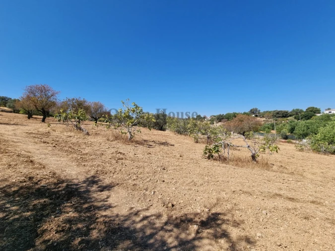 Terreno Agricola ou Rústico para Venda em Santa Barbara de Nexe Foto 6