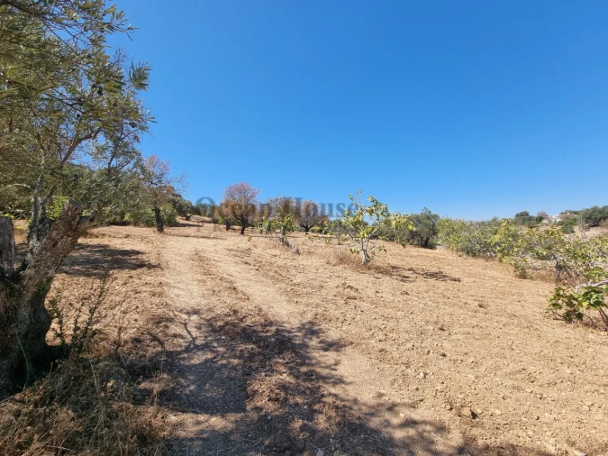 Terreno Agricola ou Rústico para Venda em Santa Barbara de Nexe Foto 7