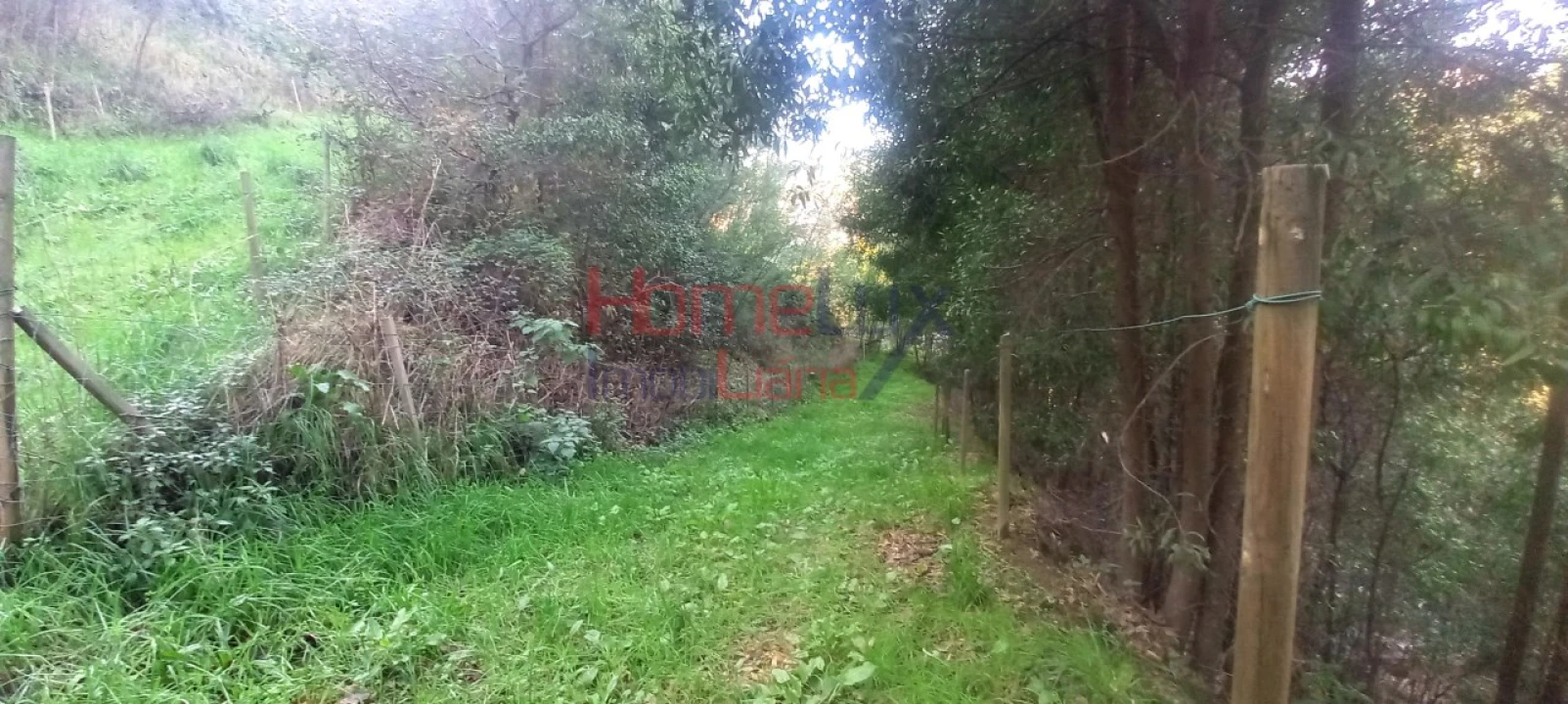 Quinta T2 para Venda em O. Azeméis, Riba-Ul, Ul, Macinhata Seixa, Madail Foto 60