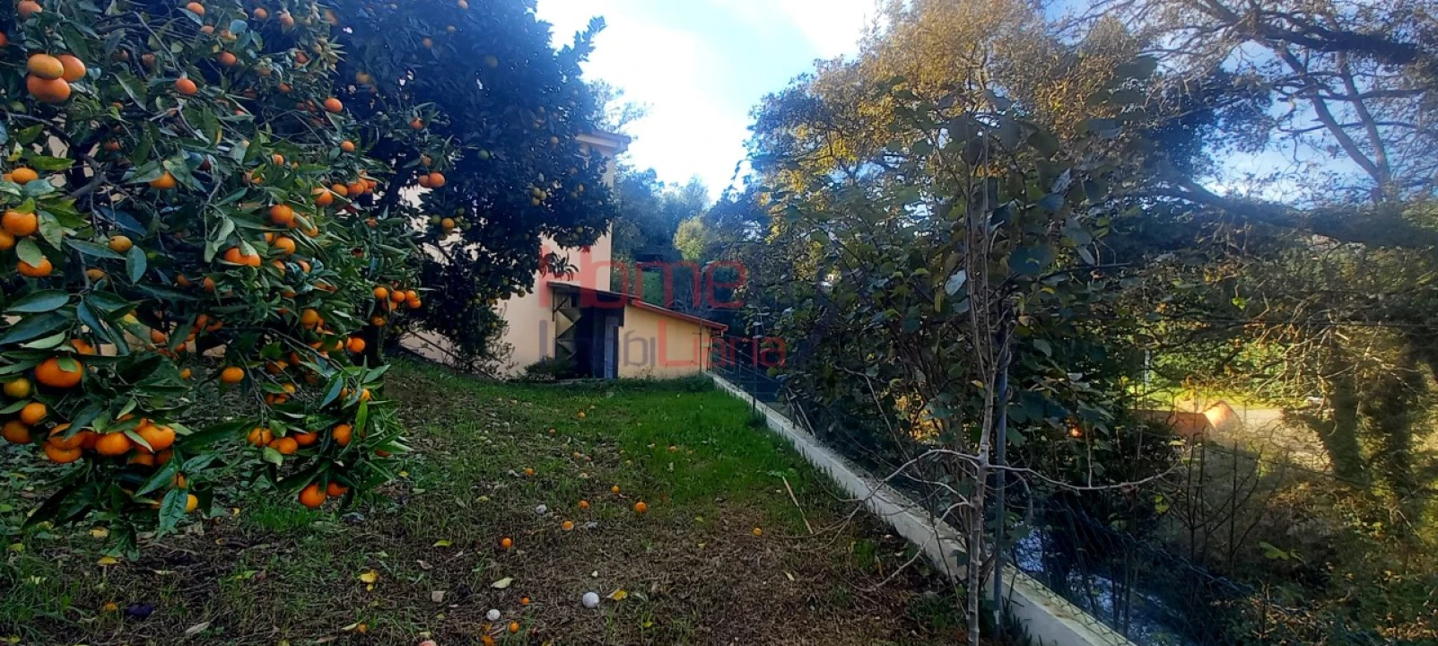 Quinta T2 para Venda em O. Azeméis, Riba-Ul, Ul, Macinhata Seixa, Madail Foto 46