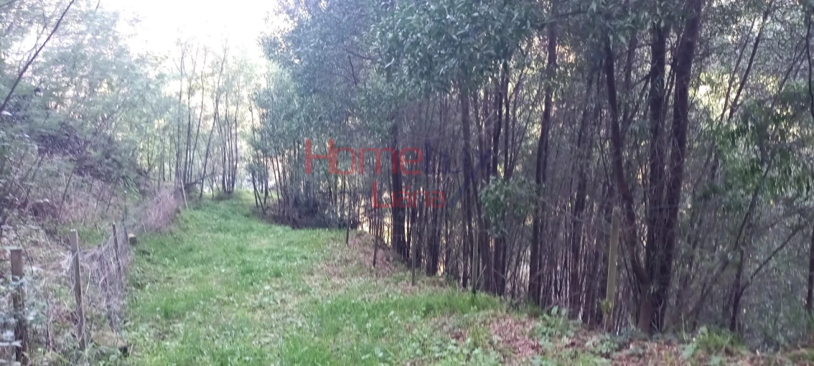 Quinta T2 para Venda em O. Azeméis, Riba-Ul, Ul, Macinhata Seixa, Madail Foto 62