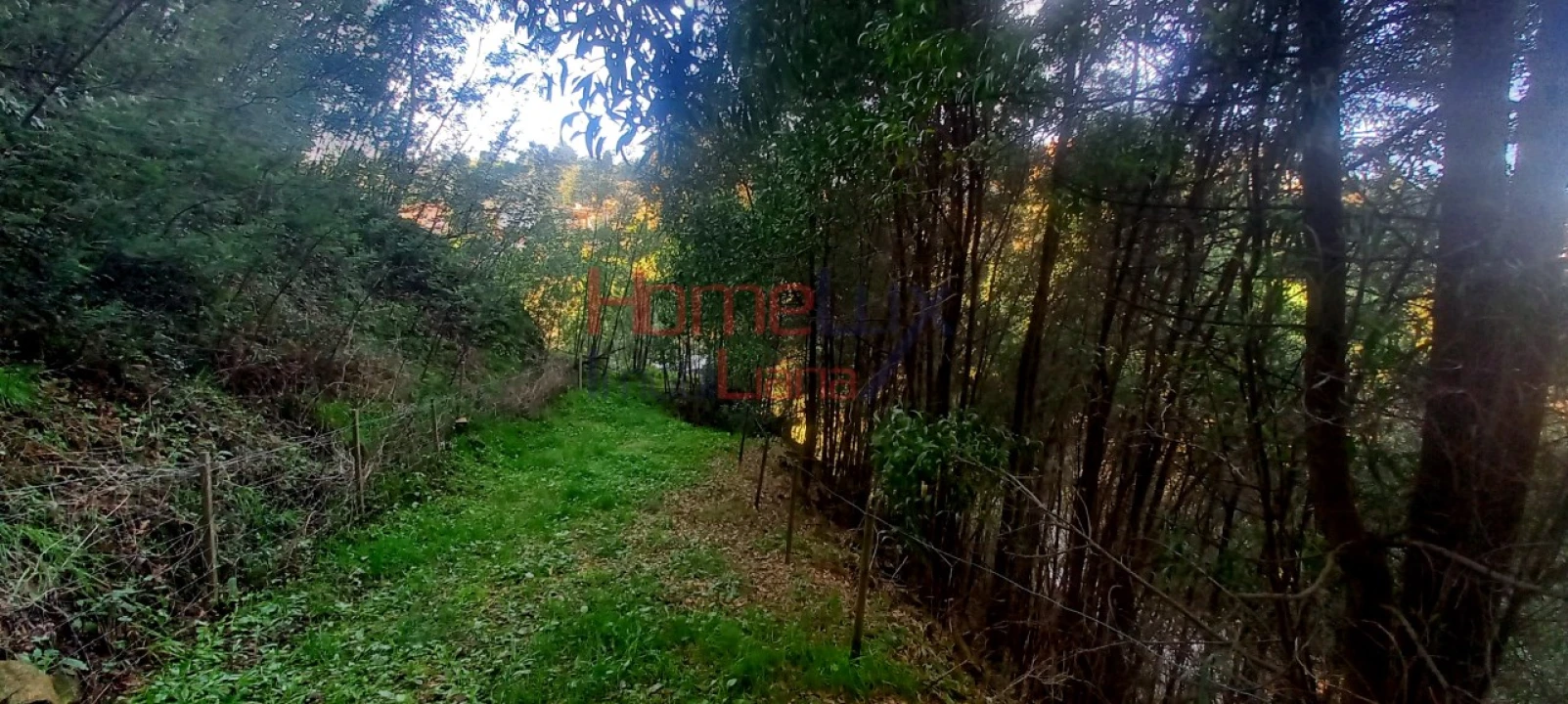 Quinta T2 para Venda em O. Azeméis, Riba-Ul, Ul, Macinhata Seixa, Madail Foto 66