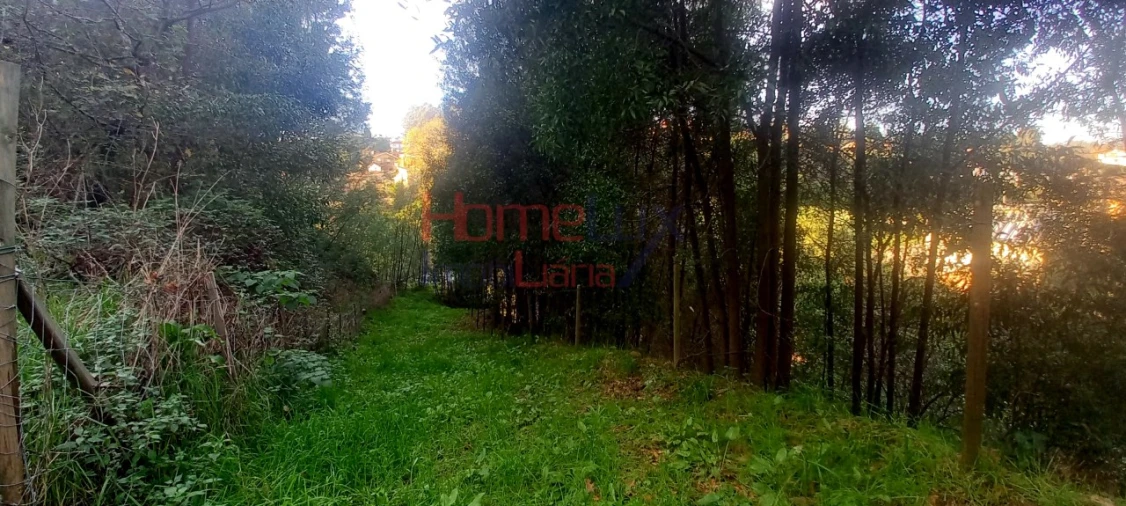 Quinta T2 para Venda em O. Azeméis, Riba-Ul, Ul, Macinhata Seixa, Madail Foto 63