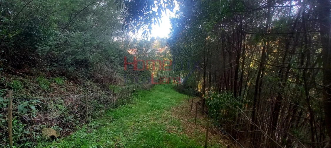 Quinta T2 para Venda em O. Azeméis, Riba-Ul, Ul, Macinhata Seixa, Madail Foto 65