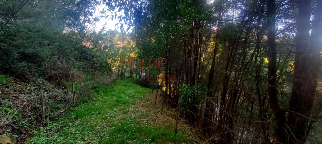 Quinta T2 para Venda em O. Azeméis, Riba-Ul, Ul, Macinhata Seixa, Madail Foto 66