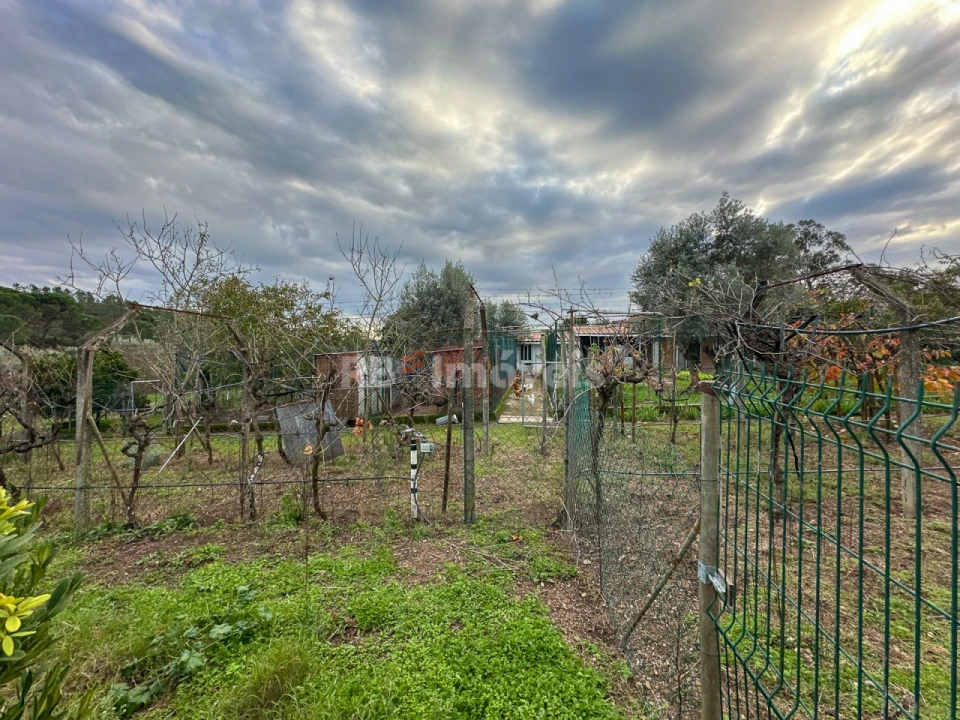 Moradia T3 para Venda em Abrantes (São Vicente e São João) e Alferrarede Foto 134