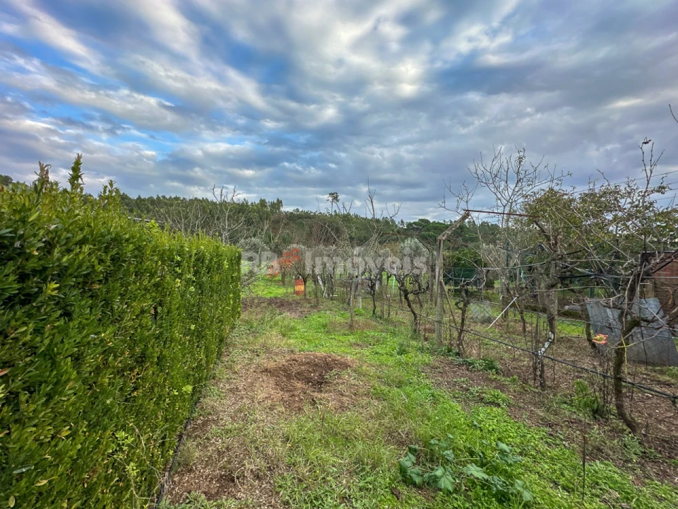 Moradia T3 para Venda em Abrantes (São Vicente e São João) e Alferrarede Foto 89