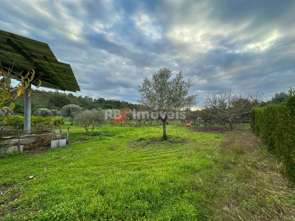 Moradia T3 para Venda em Abrantes (São Vicente e São João) e Alferrarede Foto 90