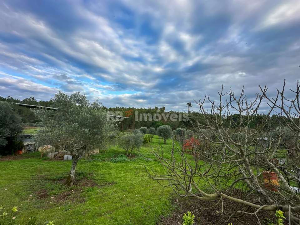 Moradia T3 para Venda em Abrantes (São Vicente e São João) e Alferrarede Foto 91