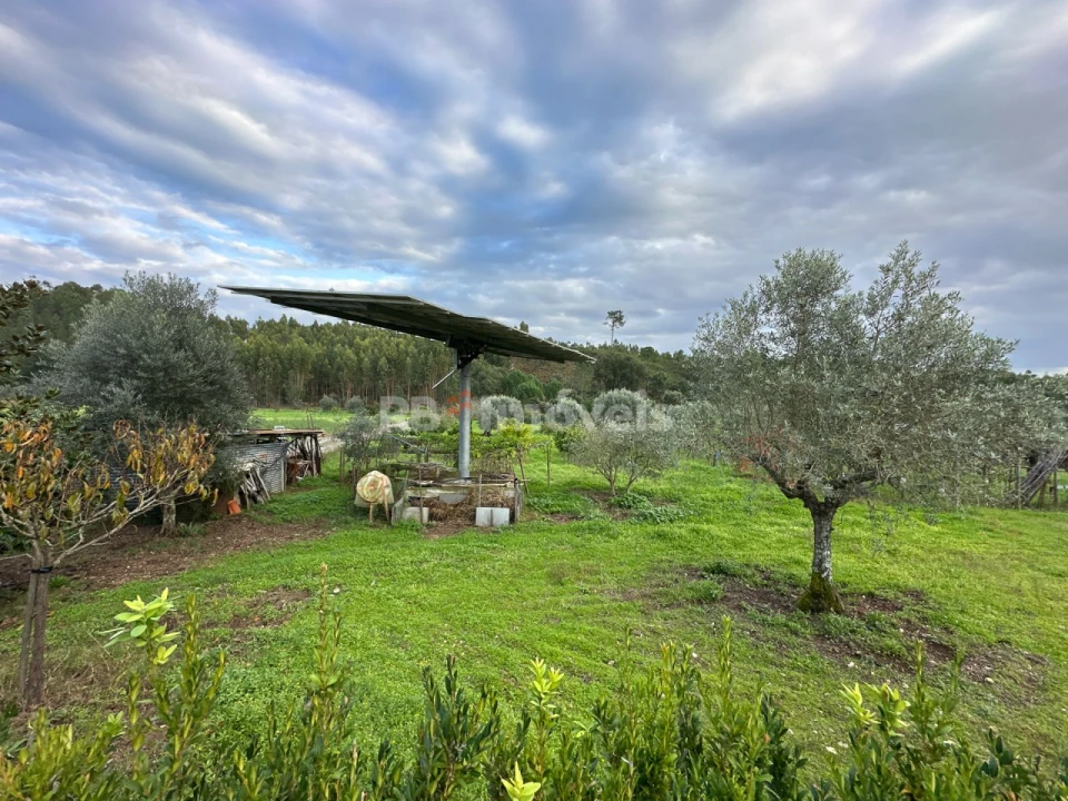 Moradia T3 para Venda em Abrantes (São Vicente e São João) e Alferrarede Foto 94