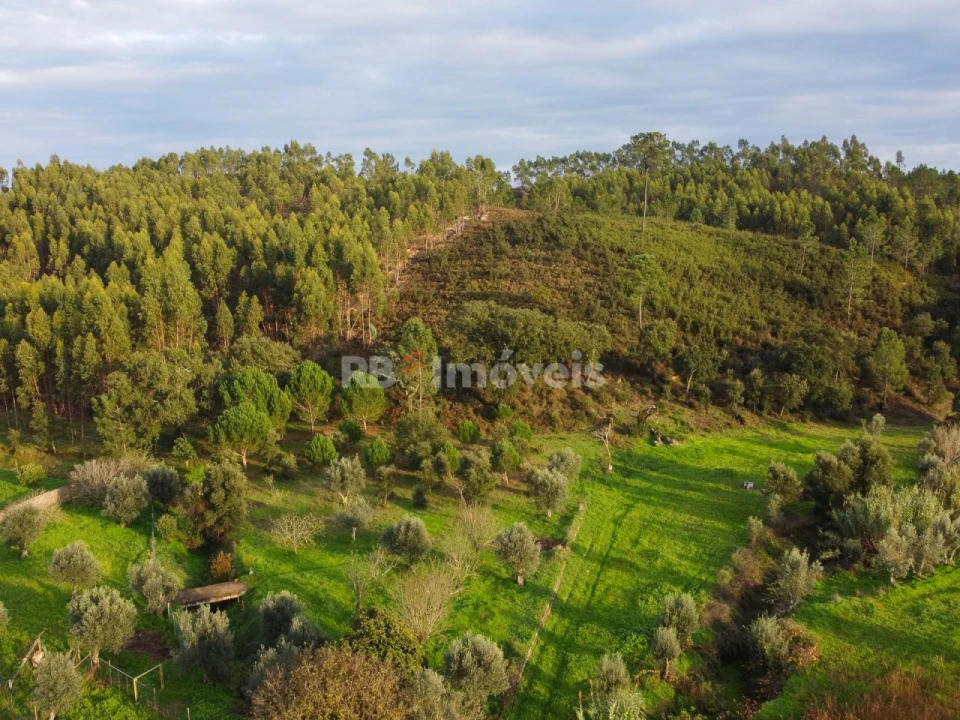 Moradia T3 para Venda em Abrantes (São Vicente e São João) e Alferrarede Foto 114
