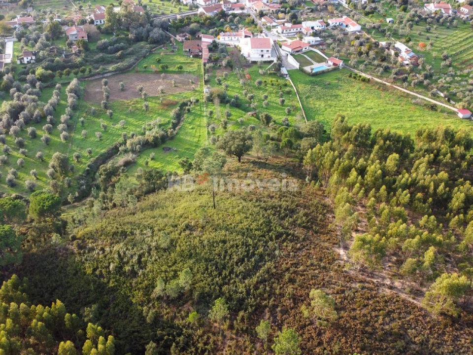 Moradia T3 para Venda em Abrantes (São Vicente e São João) e Alferrarede Foto 117