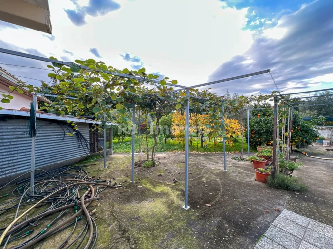 Moradia T3 para Venda em Abrantes (São Vicente e São João) e Alferrarede Foto 131