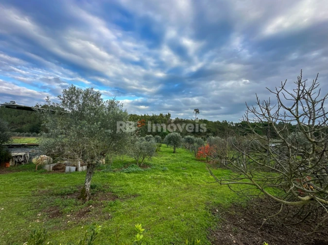 Moradia T3 para Venda em Abrantes (São Vicente e São João) e Alferrarede Foto 93