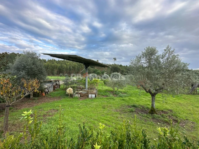 Moradia T3 para Venda em Abrantes (São Vicente e São João) e Alferrarede Foto 94
