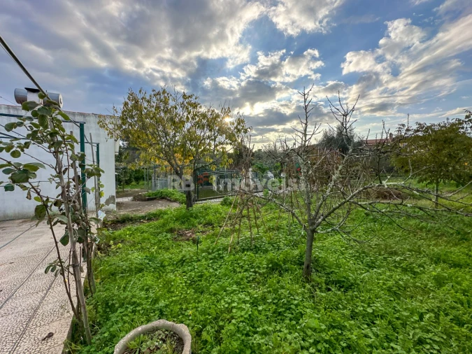 Moradia T3 para Venda em Abrantes (São Vicente e São João) e Alferrarede Foto 133