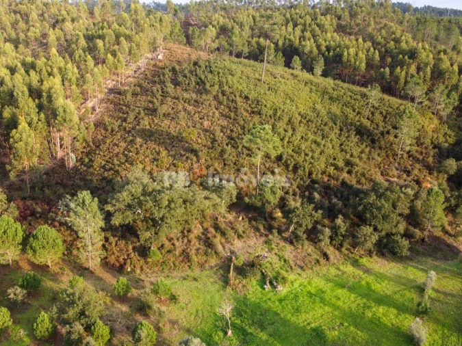 Moradia T3 para Venda em Abrantes (São Vicente e São João) e Alferrarede Foto 115