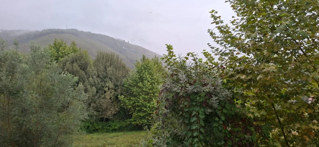 Loja para Arrendamento em Moimenta Foto 26